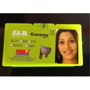 SLR Economy