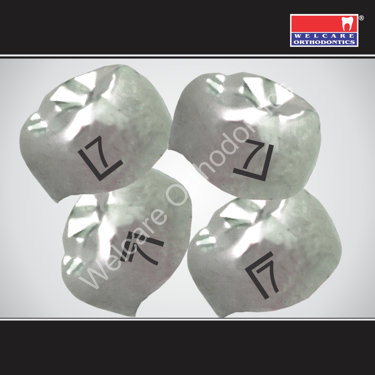 SHIELD ELITE ADULT CROWNS (SS) ASSORTED