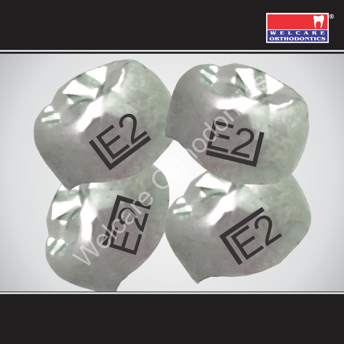 SHIELD ELITE PEDO CROWNS (SS) ASSORTED