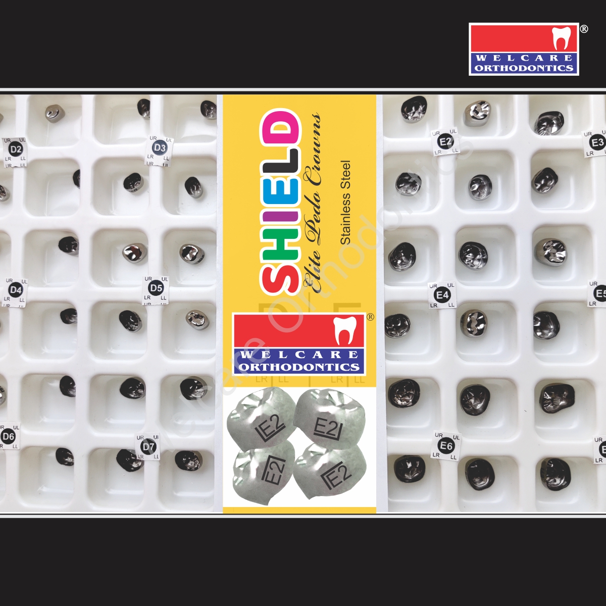 SHIELD ELITE PEDO CROWN (SS) 48 PCS BOX
