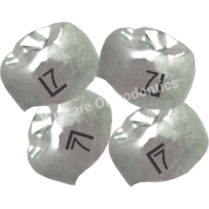 Shield Elite Adult Crowns (SS) Assorted
