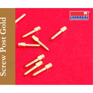 Screw Post