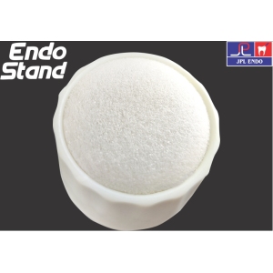 Endo Stand
