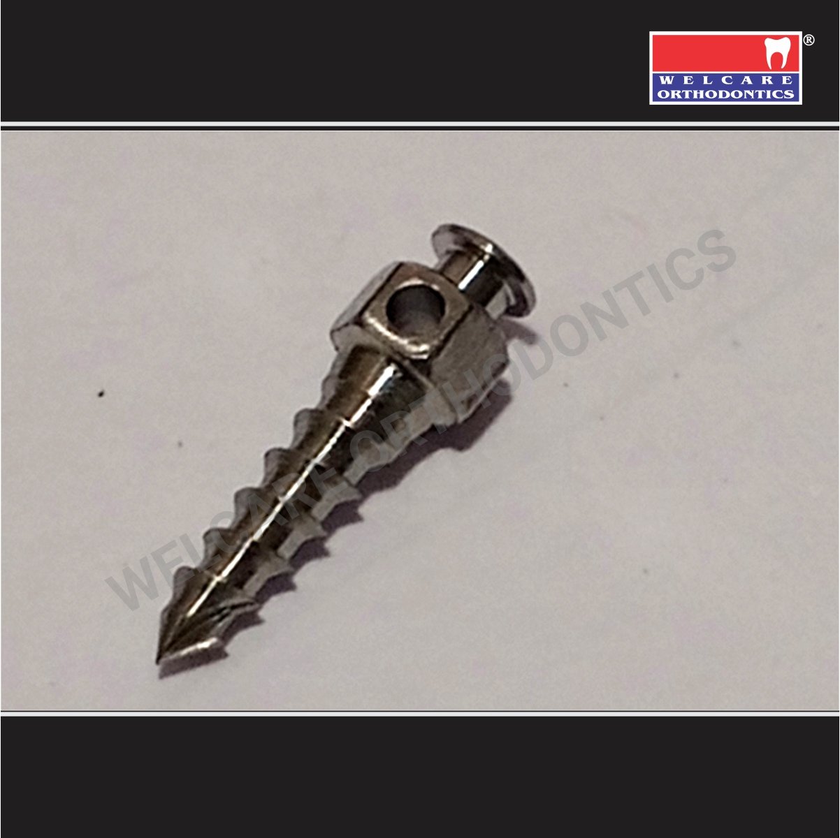 MINI IMPLANT SCREW (TAD)