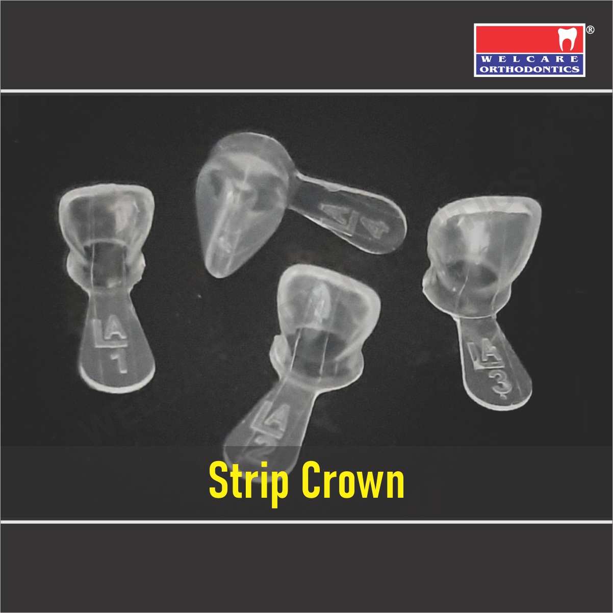 STRIP CROWN SHIELD PEDO