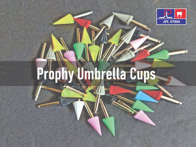 PROPHY CUP UMBERLLA – GLAZE JPL ENDO