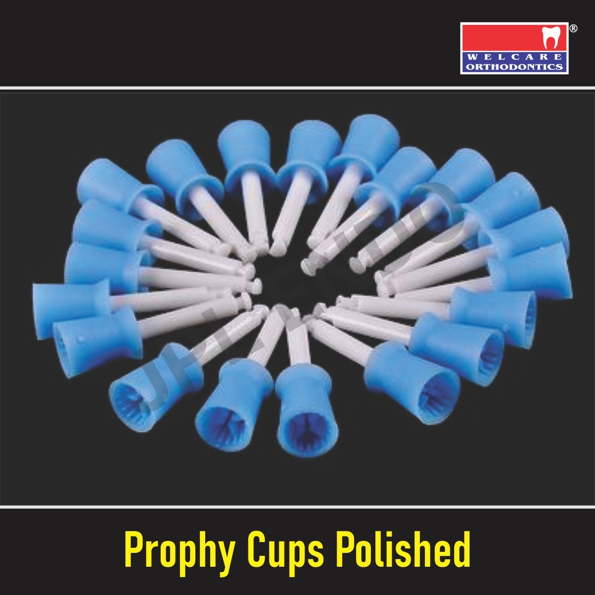 PROPHY CUP POLISHED  – GLAZE JPL ENDO