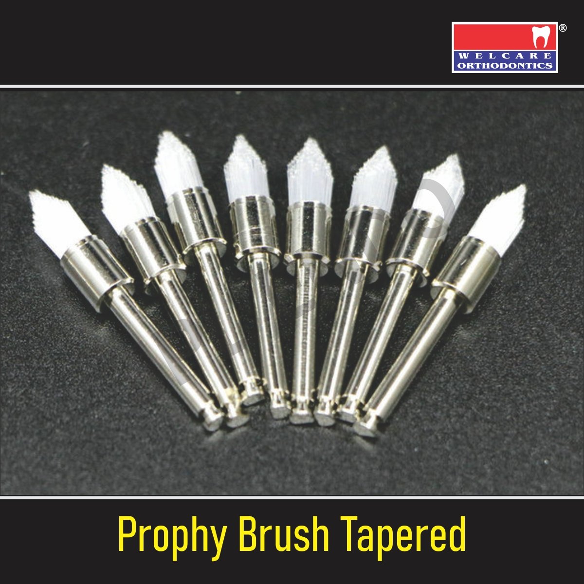 PROPHY CUP TAPERED – GLAZE JPL ENDO