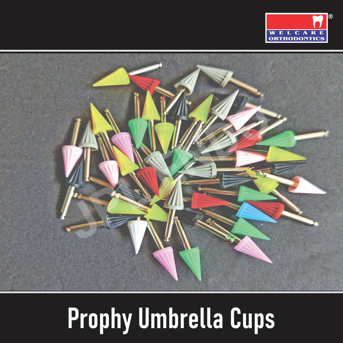 PROPHY CUP UMBERLLA – GLAZE JPL ENDO