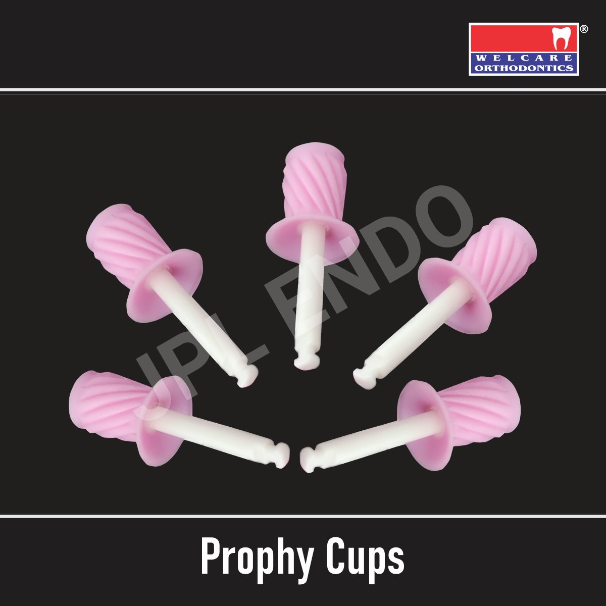 PROPHY CUP RIBBED – GLAZE JPL ENDO